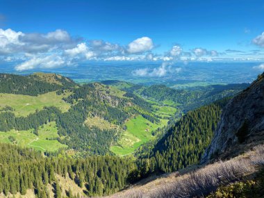 Evergreen ormanı veya kozalaklı ağaçlar Pilatus 'un yamaçlarında ve dağ zirvelerinin altındaki dağlık vadilerde, Alpnach - Obwalden Kantonu, İsviçre (Schweiz)