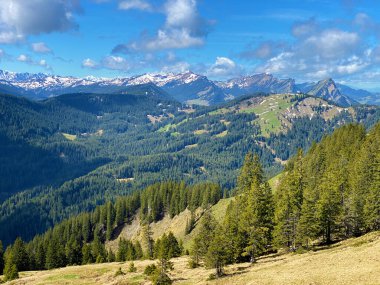 Evergreen ormanı veya kozalaklı ağaçlar Pilatus 'un yamaçlarında ve dağ zirvelerinin altındaki dağlık vadilerde, Alpnach - Obwalden Kantonu, İsviçre (Schweiz)