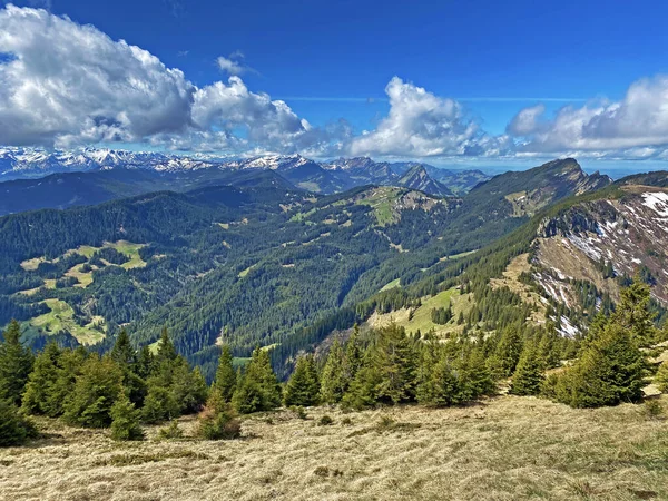 瑞士奥瓦尔登州Alpnach Canton Obwalden Schweiz Pilatus地块斜坡上和高山下的常绿森林或针叶树 — 图库照片