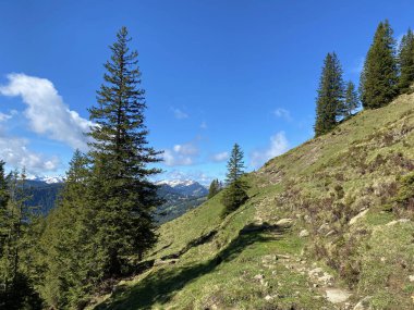 Pilatus 'un yamaçlarında ve dağın eteğindeki dağlık vadilerde yürüyüş, yürüyüş, spor ve dinlenme yolları, Alpnach - Obwalden Kantonu, İsviçre (Schweiz)