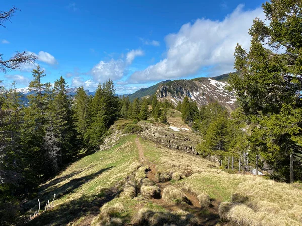 Trails for walking, hiking, sports and recreation on the slopes of the Pilatus massif and in the alpine valleys at the foot of the mountain, Alpnach - Canton of Obwalden, Switzerland (Schweiz)