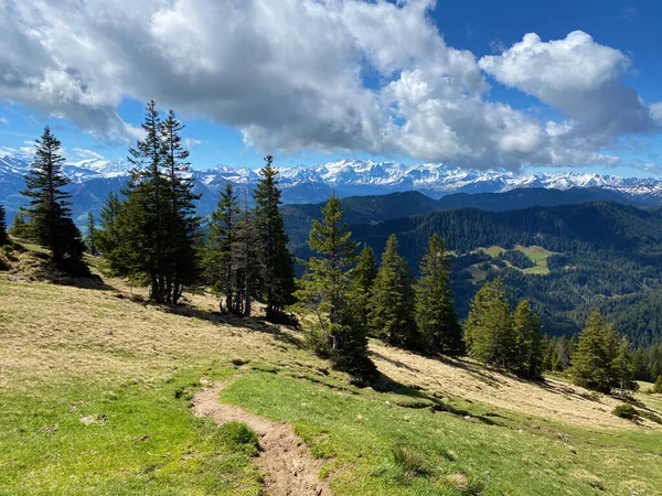 Pilatus 'un yamaçlarında ve dağın eteğindeki dağlık vadilerde yürüyüş, yürüyüş, spor ve dinlenme yolları, Alpnach - Obwalden Kantonu, İsviçre (Schweiz)