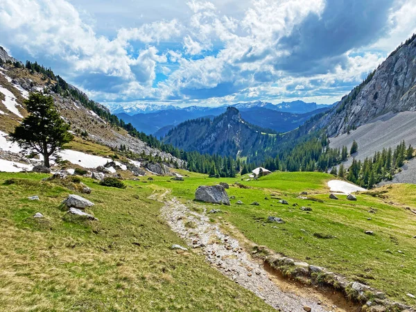 ピラタス山脈の斜面や山のふもとの高山渓谷を歩く ハイキング スポーツ レクリエーションのためのトレイル アルパハ オバルデンのカントン スイス スイス — ストック写真