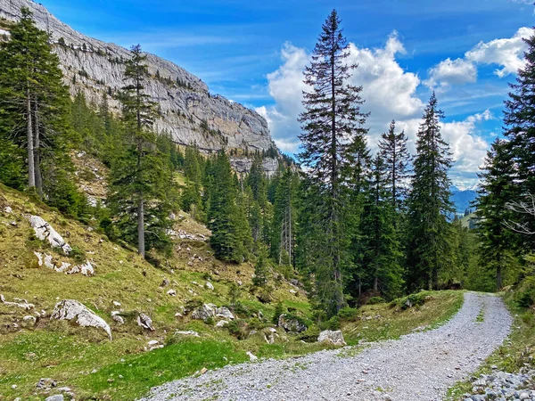 Trails for walking, hiking, sports and recreation on the slopes of the Pilatus massif and in the alpine valleys at the foot of the mountain, Alpnach - Canton of Obwalden, Switzerland (Schweiz)