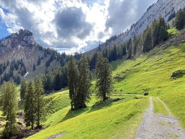 Trails Voor Wandelen Wandelen Sporten Recreatie Hellingen Van Het Pilatus — Stockfoto