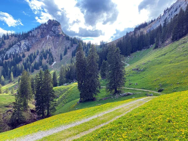 Trails for walking, hiking, sports and recreation on the slopes of the Pilatus massif and in the alpine valleys at the foot of the mountain, Alpnach - Canton of Obwalden, Switzerland (Schweiz)