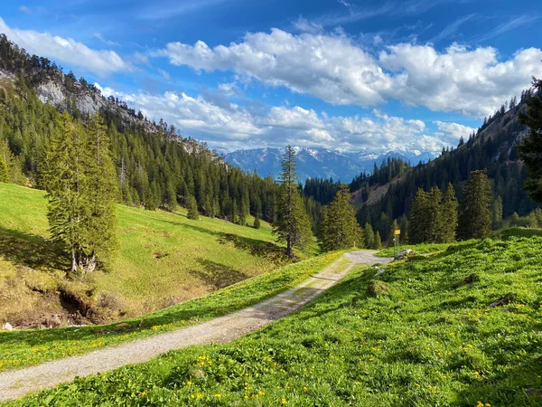 Trails for walking, hiking, sports and recreation on the slopes of the Pilatus massif and in the alpine valleys at the foot of the mountain, Alpnach - Canton of Obwalden, Switzerland (Schweiz)