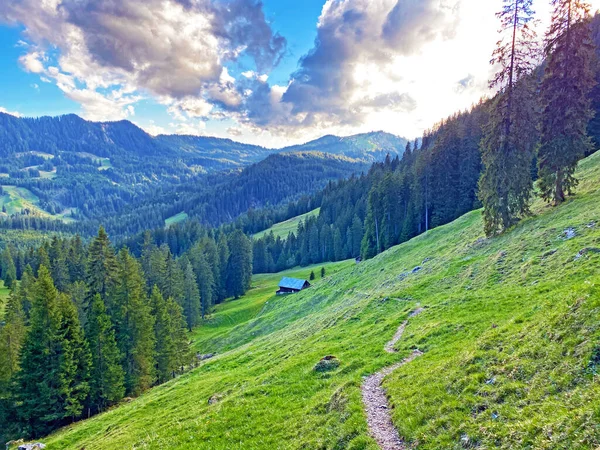 Trails for walking, hiking, sports and recreation on the slopes of the Pilatus massif and in the alpine valleys at the foot of the mountain, Alpnach - Canton of Obwalden, Switzerland (Schweiz)