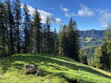Pilatus dağ sırasının tepe ve yamaçlarında ve Emmental Alpler, Alpnach - Obwalden Kantonu, İsviçre (Kanton Obwalden, Schweiz)
