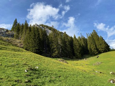 Pilatus 'un yamaçlarında ve dağın eteğindeki dağlık vadilerde, Alpnach - Obwalden Kantonu, İsviçre (Schweiz)