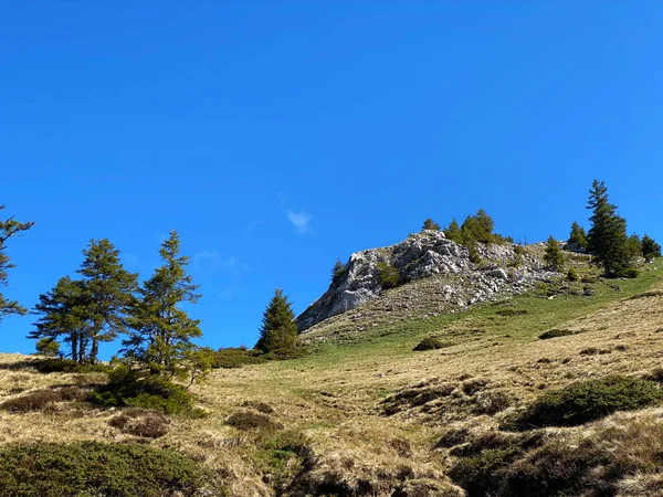 Alpesi Legelők Legelők Pilátus Hegység Lejtőin Alpesi Völgyekben Hegy Lábánál — Stock Fotó