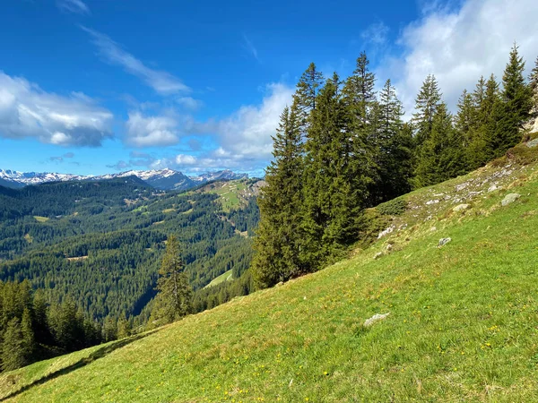 Pastagens Prados Alpinos Nas Encostas Maciço Pilatus Nos Vales Alpinos — Fotografia de Stock