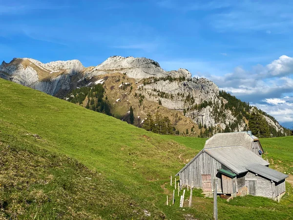 ピラタス山塊の斜面にある伝統的な農村建築と家族の家畜農場 アルパチ スイス オブヴァルデン州 スイス のカントン — ストック写真