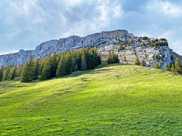 Alpine Peak Widderfeld Swiss Mountain Range Pilatus Emmental Alps Alpnach — Fotografia de Stock