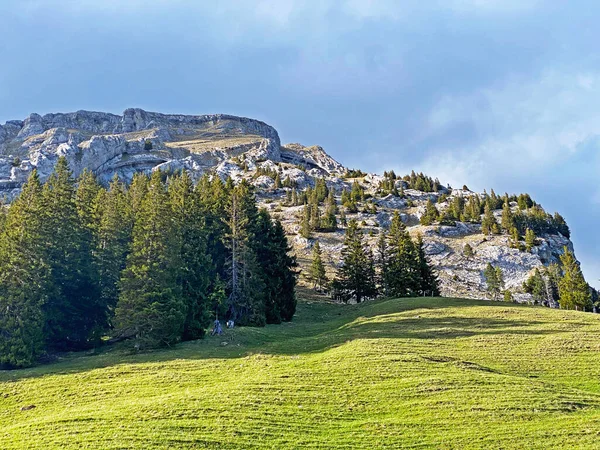Pico Alpino Widderfeld Cordillera Suiza Pilatus Los Alpes Emmentales Alpnach —  Fotos de Stock