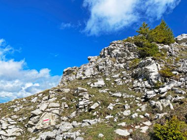 İsviçre 'nin Pilatus sıradağlarında ve Emmental Alplerde, Alpnach - Obwalden Kantonu, İsviçre (Kanton Obwalden, Schweiz)
