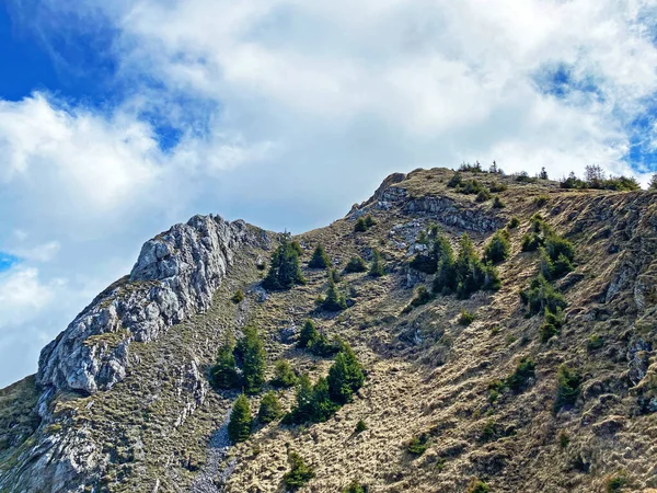 Sviçre Nin Pilatus Sıradağlarında Emmental Alplerde Alpnach Obwalden Kantonu Sviçre — Stok fotoğraf