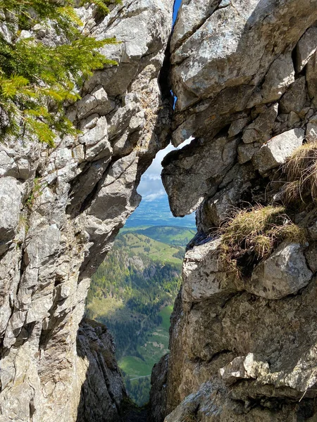Öppning Berget Nedanför Den Alpina Toppen Widderfeld Den Schweiziska Bergskedjan — Stockfoto