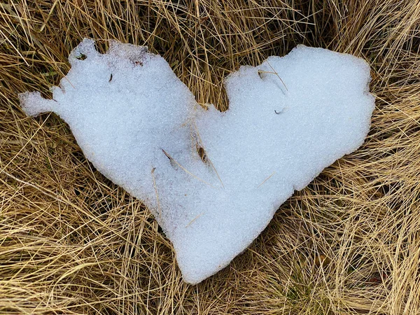 Gli Ultimi Resti Neve Primaverile Forma Cuore Sui Pascoli Alpini — Foto Stock