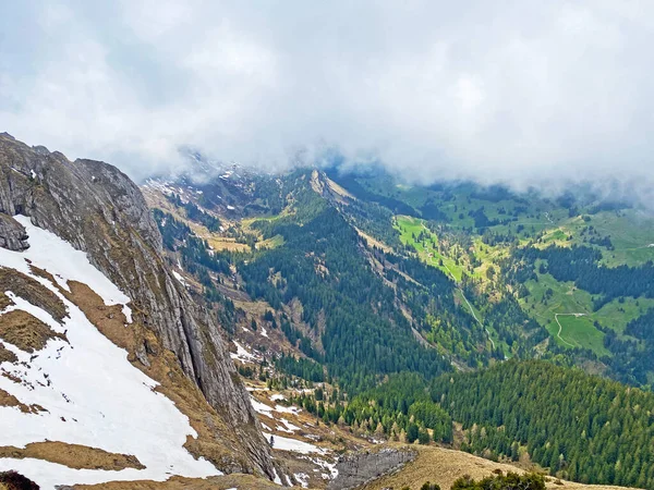 Ambiente Primaveral Alpino Con Los Últimos Restos Invierno Nieve Las —  Fotos de Stock