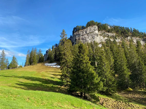 Alpský Vrchol Musflue Švýcarském Pohoří Pilatus Emmentálních Alpách Alpnach Kanton — Stock fotografie