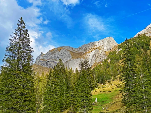 İsviçre 'nin Pilatus sıradağlarında Matthorn' un Alpnach, Obwalden Kantonu (Kanton Obwalden, Schweiz)