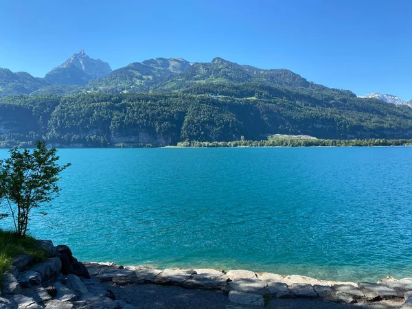 Lago Walensee Entre Las Cadenas Montañosas Churfirsten Seeztal Valle Subalpino — Foto de Stock