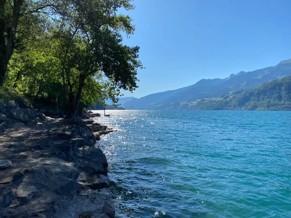 ヴァレンゼー湖 Lake Walense Churfirstenの山脈とSeeztal Subalphan Valley Weesen カントン セント ガレン — ストック写真