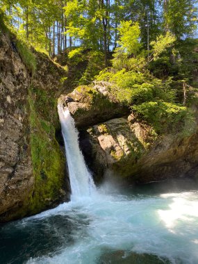 Thur Nehri üzerinde ve Obertoggenburg bölgesinde, Giessenfall (Der Obere Giessenfall oder Ober Giessenfall şelalesi), Nesslau - İsviçre 'nin St. Gallen Kantonu (Schweiz)