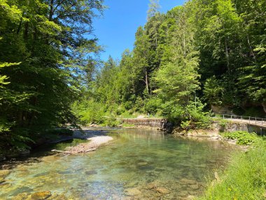 Nesslau-Krummenau köyündeki Thur nehri veya Unterwasser yerleşim bölgesinde ve Obertoggenburg bölgesinde - Saint Gallen Kantonu, İsviçre (Kanton St. Gallen, Schweiz)