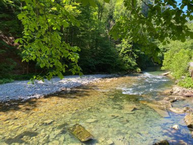 Nesslau-Krummenau köyündeki Thur nehri veya Unterwasser yerleşim bölgesinde ve Obertoggenburg bölgesinde - Saint Gallen Kantonu, İsviçre (Kanton St. Gallen, Schweiz)