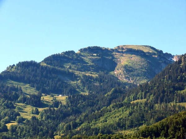 Alpine Hill Nueenchamm Veya Nuenchamm Walensee Gölü Nün Yukarısında Schwyz — Stok fotoğraf