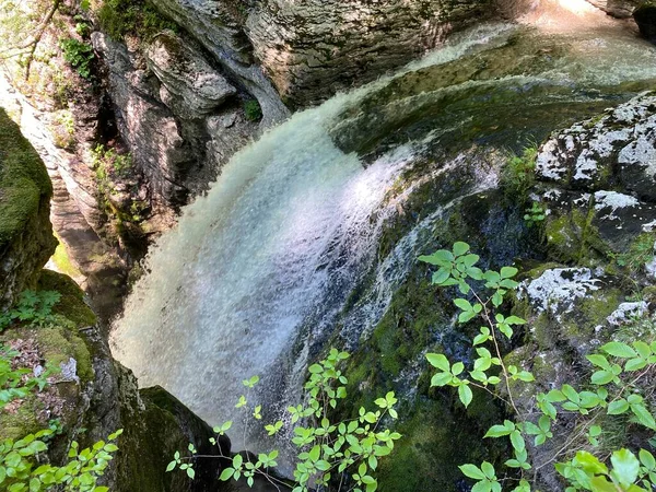 Thur Waterfalls或Thurwasserflle Oder Thurfaelle或Thurfalle Thur River Obertoggenburg Region Unterwasser Canton — 图库照片