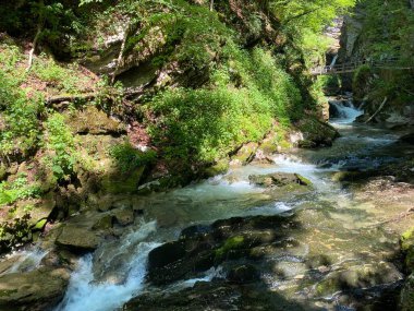 Unterwasser ve Obertoggenburg bölgesinde bulunan Thur Nehri Kanyonu (die Schlucht des Flusses Thur) - İsviçre 'nin St. Gallen Kantonu (Kanton St. Gallen, Schweiz)