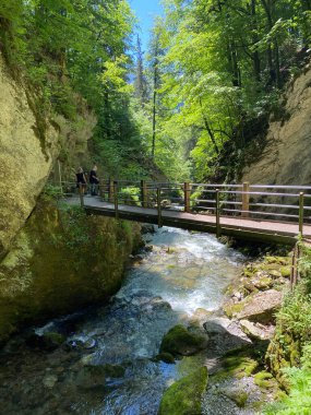 Unterwasser ve Obertoggenburg bölgesinde bulunan Thur Nehri Kanyonu (die Schlucht des Flusses Thur) - İsviçre 'nin St. Gallen Kantonu (Kanton St. Gallen, Schweiz)