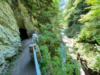 Unterwasser ve Obertoggenburg bölgesinde bulunan Thur Nehri Kanyonu (die Schlucht des Flusses Thur) - İsviçre 'nin St. Gallen Kantonu (Kanton St. Gallen, Schweiz)