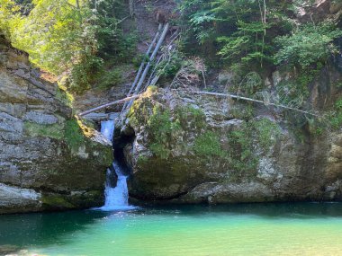 Thur Nehri üzerinde ve Obertoggenburg bölgesinde bulunan Giessenfall (Der Untere Giessenfall oder Kleiner Giessenfall şelalesi) kantonu, Nesslau - İsviçre 'nin St. Gallen kentinde (Schweiz)