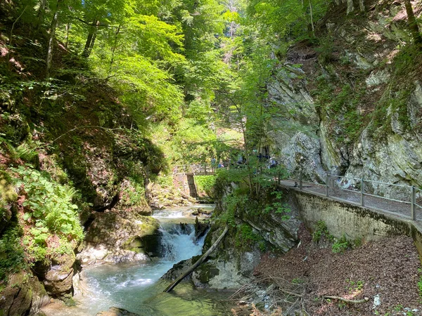 Die Schlucht Des Flusses Thur Der Siedlung Unterwasser Und Obertoggenburg — Stockfoto