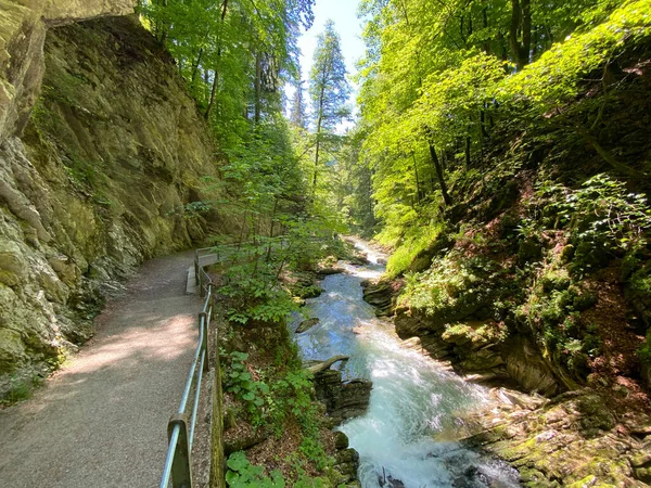 Thur Rivier Canyon Die Schlucht Des Flusses Thur Unterwasser Nederzetting — Stockfoto