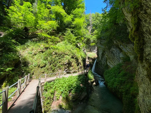 Thur River Canyon Die Schlucht Des Flusses Thur Unterwasser Settlement — Stock Photo, Image