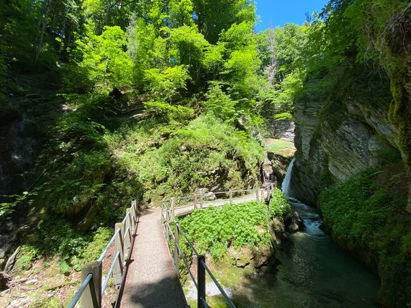 Каньйон Річки Тур Schlucht Des Flusses Thur Поселенні Унтервассер Регіоні — стокове фото