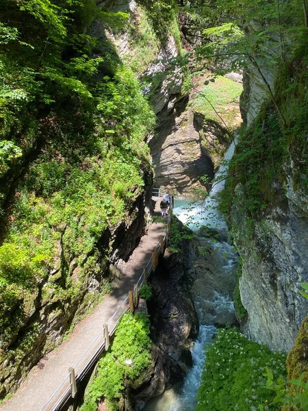 Thur Rivier Canyon Die Schlucht Des Flusses Thur Unterwasser Nederzetting — Stockfoto