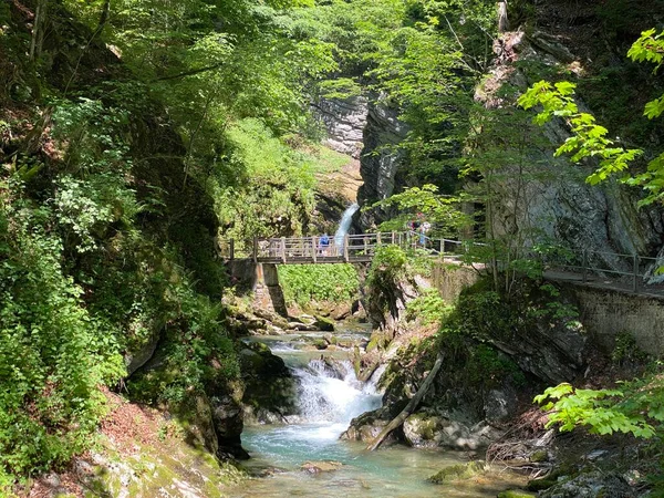 Thur Folyó Kanyon Die Schlucht Des Flusses Thur Unterwasser Településen — Stock Fotó