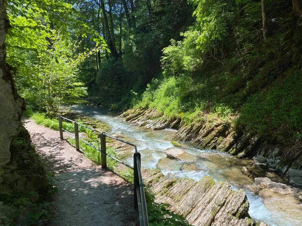 Unterwasser集落とObertoggenburg地域のThur川渓谷 Die Schlucht Des Flusses Thur カントン セント ガレン スイス — ストック写真