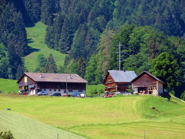 アルプシュタイン山塊の斜面やオーバートッゲンブルク地方の伝統的な農村建築と家族の家畜農場 Unterwasser カントン セント ガレン スイス スイス — ストック写真