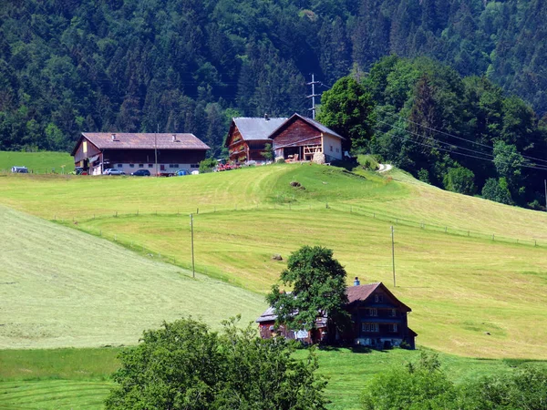 Tradiční Venkovská Architektura Rodinné Chovy Hospodářských Zvířat Svazích Masivu Alpstein — Stock fotografie