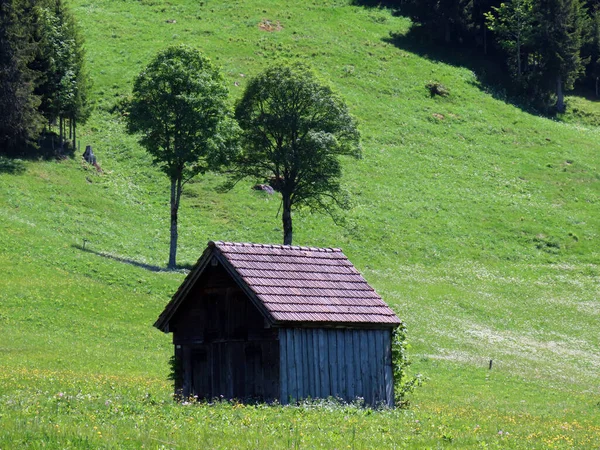 瑞士圣加仑州Unterwasser市Alpstein山区地块斜坡和Obertoggenburg地区的传统农村建筑和家庭畜牧农场 Schweiz — 图库照片
