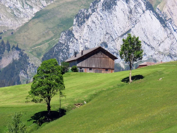 Traditional Rural Architecture Family Livestock Farms Slopes Alpstein Mountain Massif — Stock Photo, Image