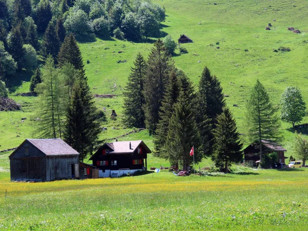 Tradycyjna Architektura Wiejska Rodzinne Gospodarstwa Hodowlane Zboczach Masywu Górskiego Alpstein — Zdjęcie stockowe