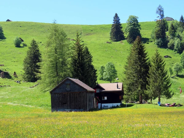 Traditionele Landelijke Architectuur Familieveehouderijen Hellingen Van Het Bergmassief Alpstein Het — Stockfoto